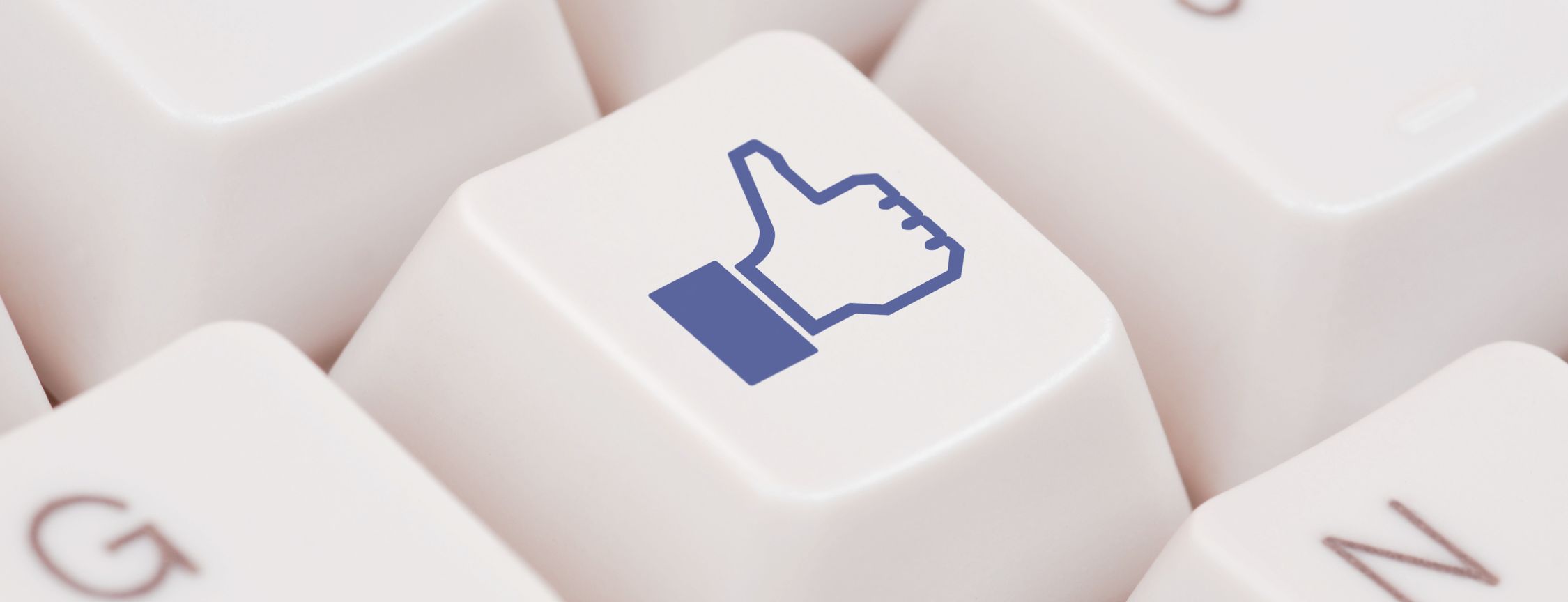 Search Engine Optimization in Chandigarh